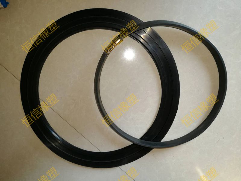 Expansion short joint sealing ring